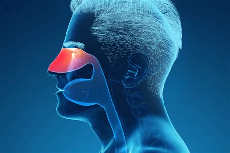 allergic rhinitis         treatments