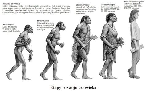 Najstarsze Dzieje Cz Owieka Wprowadzenie Historia Opracowania Pl