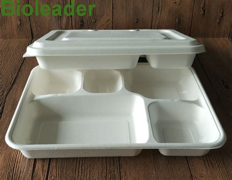 Eco Friendly Biodegradable Sugarcane Bagasse Food Container