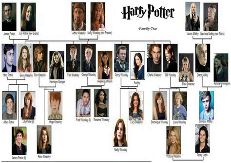 Family tree | Harry potter family tree, Harry potter, Harry potter ...