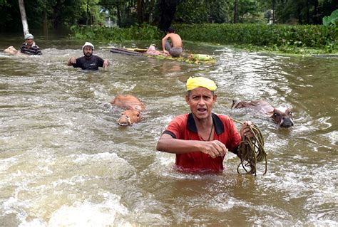 Assam Floods Wreak Havoc Death Toll Rises To 100 Over 5 Mn Affected