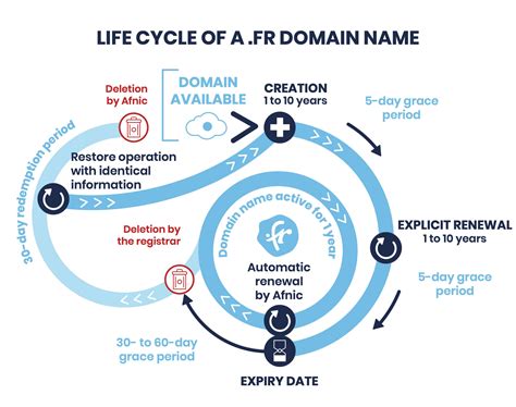 The Essentials For Managing Your Domain Name Afnic