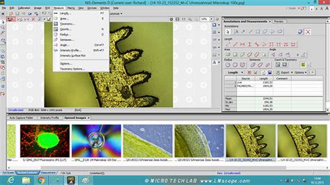 Nikon Nis Elements Imaging Software