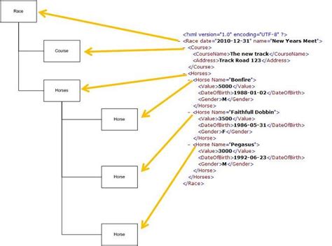 Basic Xml Structure