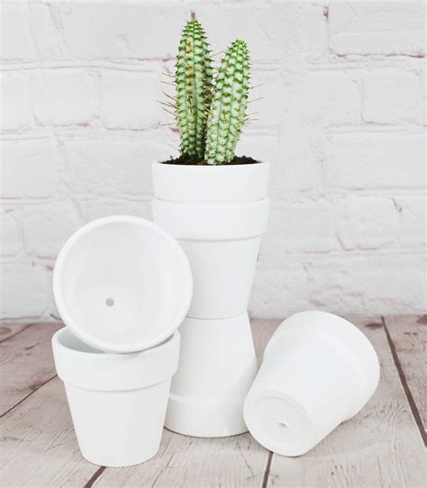 My Urban Crafts Pcs White Terracotta Clay Pots Inch Small