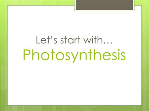 Solution Photosynthesis And Respiration Studypool