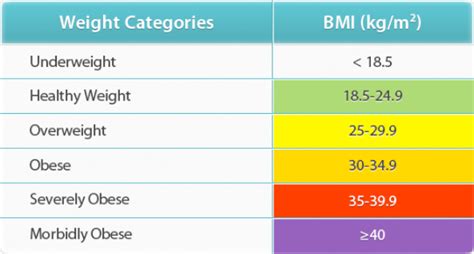 Obesity Definition When Are You Considered To Be Obese Dr Galileo