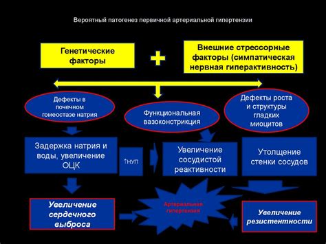 Артериальная гипертензия - презентация онлайн