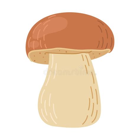 Boletus Edulis Forest Mushroom Hand Drawn Porcini Stock Vector