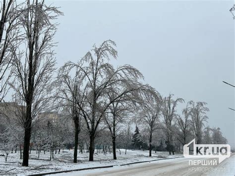 Погода на неделю в Кривом Роге | Первый Криворожский