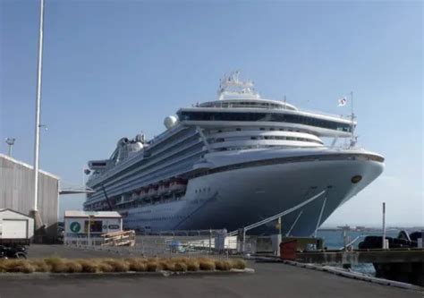 Dunedin, Port Chalmers Cruise Ship Schedule 2025 | Crew Center