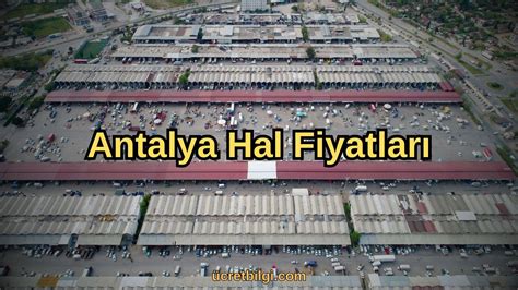 Antalya Hal Fiyatlar Hal Piyasas Cret Bilgi