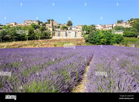 La France Vaucluse parc naturel régional du Luberon Ménerbes