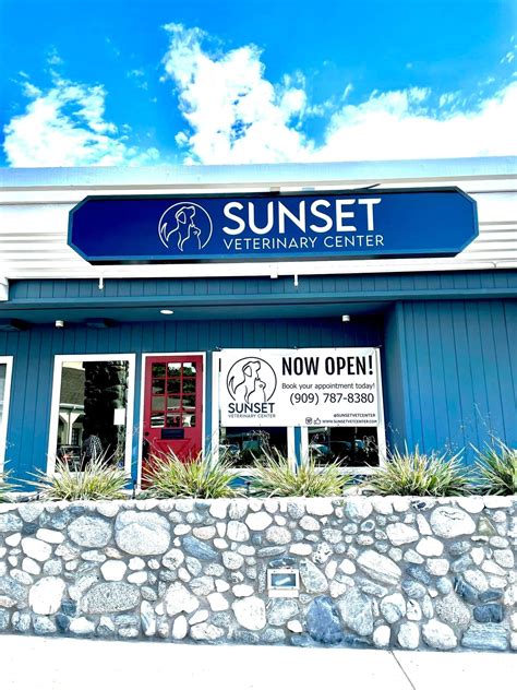 sunset vet chattanooga 3