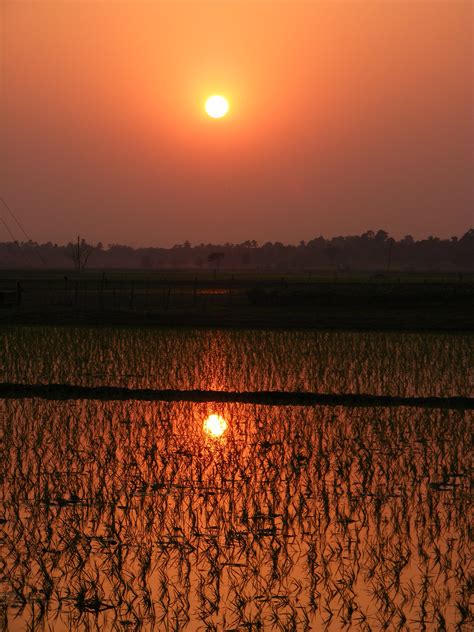 Gambar Pemandangan Alam Outdoor Horison Matahari Terbit Matahari