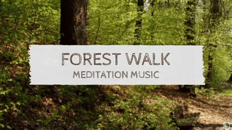 Forest Walk Meditation Music - DailyMeditate.com