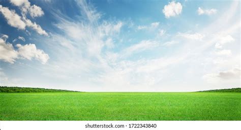 Details 100 Sky With Grass Background Abzlocalmx