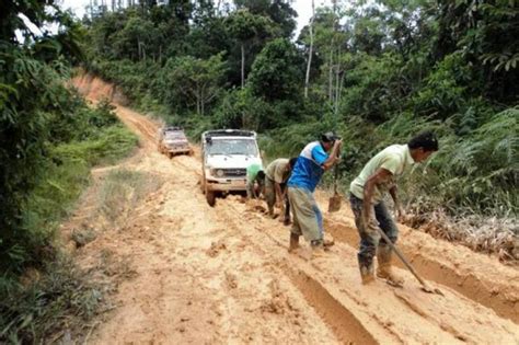 El Programa Caminos Comunitarios De La Paz Total Lleg Al Sur De Bol Var