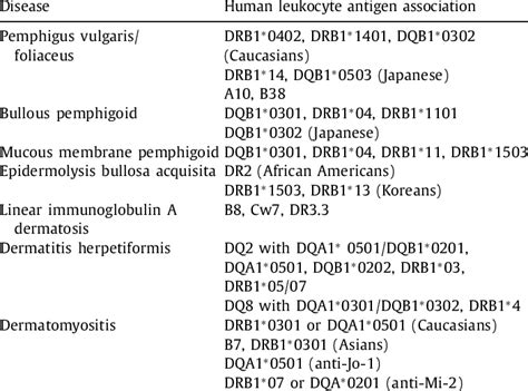 Human leukocyte antigen associations in autoimmune bullous diseases and ...