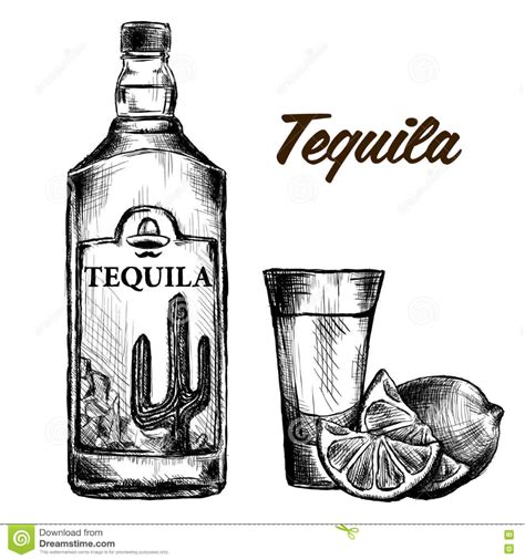 Bottle Of Tequila With Lime And Glass Painted By Hand Stock Vector