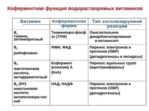 Лекция по теме : « Витамины
