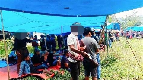 Judi Sabung Ayam Marak Di Toraja Benarkah Ada Beking Oknum Tni Polri