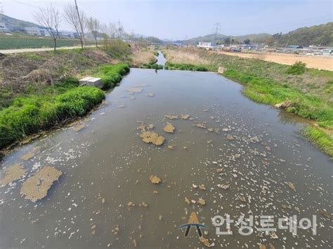 안성시 장마철 가축분뇨로 인한 환경오염 예방을 위한 특별점검 안성투데이