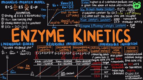 Enzyme Kinetics Enzymes 03 Biochemistry Pp Notes Lehninger 6e Ch 6 3 Youtube