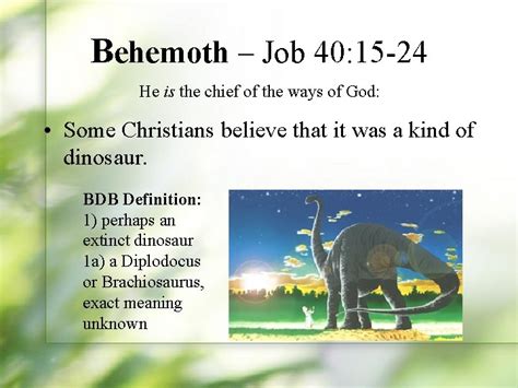 Mysterious Creatures Of The Bible Behemoth Job 40