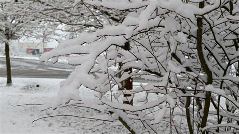 Wintereinbruch Im Freistaat Teile Bayerns Versinken Im Schnee