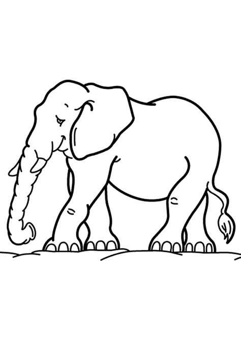 Coloriage L Phant Maternelle Dessin Gratuit Imprimer