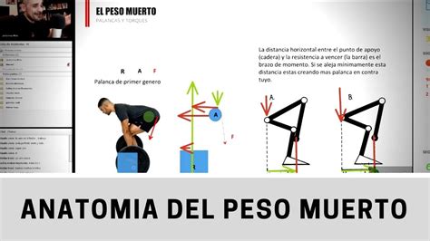 Como Es La Anatomía Y Biomecánica Del Peso Muerto Youtube