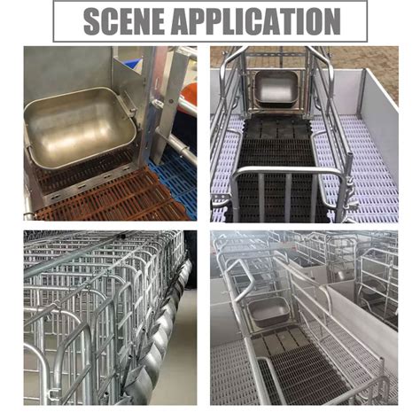 Automatic Stainless Steel Feeder Pig Cage Sow Feeder Buy Pig Feeder