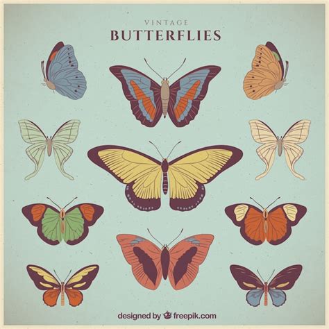 Free Vector Collection Of Beautiful Retro Hand Drawn Butterflies