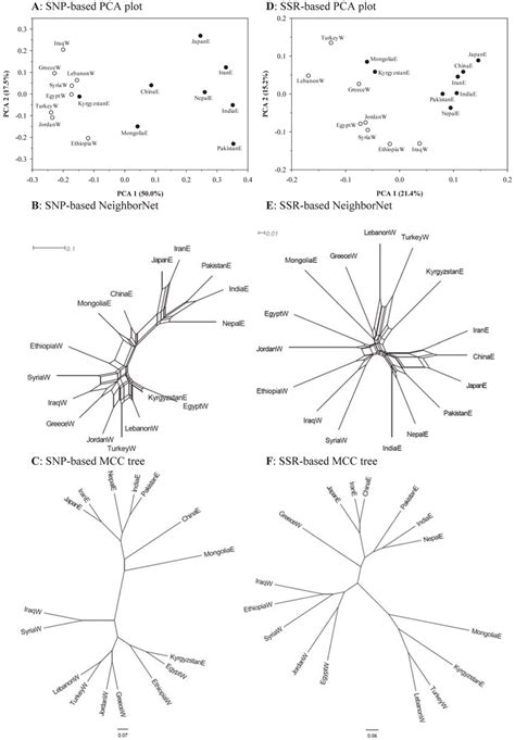 Single Nucleotide Polymorphism Snp And Simple Sequence Repeat