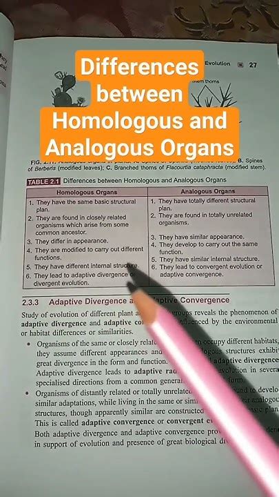 Differences Between Homologous And Analogous Organs Evolution