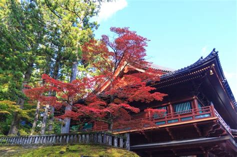 Nikko World Heritage Area Pass Reserva Online En Civitatis