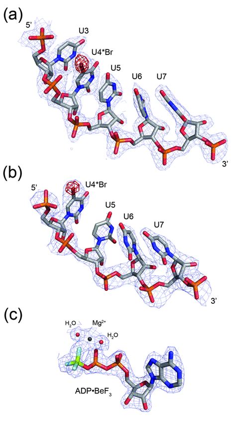 Electron Density Maps For Selected Ligands Regions Of The 2fo Fc Maps