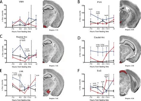 Mean Sem Number Of C Fos Immunoreactive Nuclei In The Several Brain