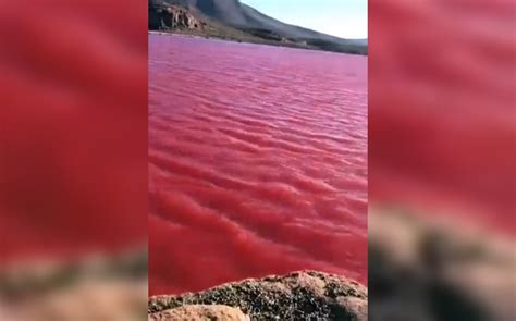 Agua se tiñe de rojo y causa tempor por pasaje bíblico del Río Nilo