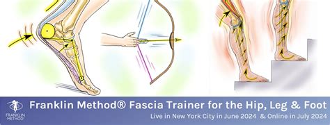 hip fascia banner franklin method