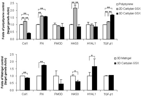 Ecm Related Gene Expression Levels Mrna Of Collagen Type I Col