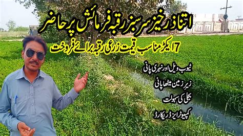 Acre Raqba Agriculture Land For Sale In Punjab Pakistan Youtube