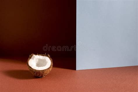 Still Life Of Coconut Half Stock Image Image Of Still 118891163