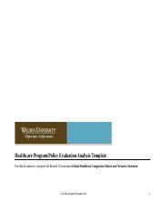 Wk Assgn Doc Healthcare Program Policy Evaluation Analysis Template