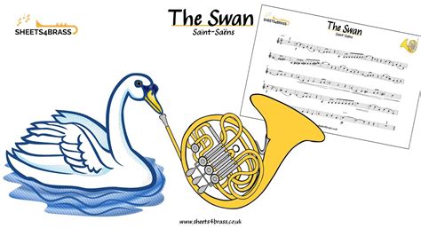 The Swan French Horn Play Along With Sheet Music Youtube