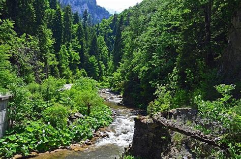 Western Rhodopes Mountains Smolyan Province Bulgaria