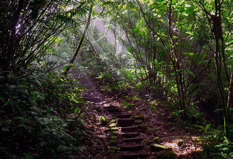 Las Mejores Excursiones De Un D A Desde Granada Nicaragua Laguna De