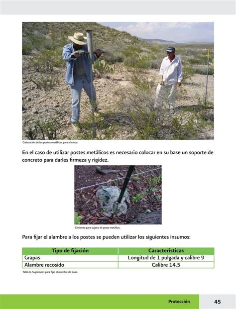 Manual Practicas De Reforestacion Pdf