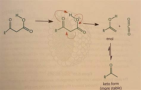 MCAT OChem Chp 8 Flashcards Quizlet